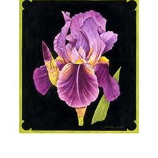 Схема вышивки «ирисы на подушку»