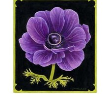 Схема вышивки «анемон»