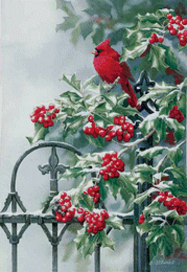 птичка на рябине - природа, снег, зима, птицы, рябина - предпросмотр