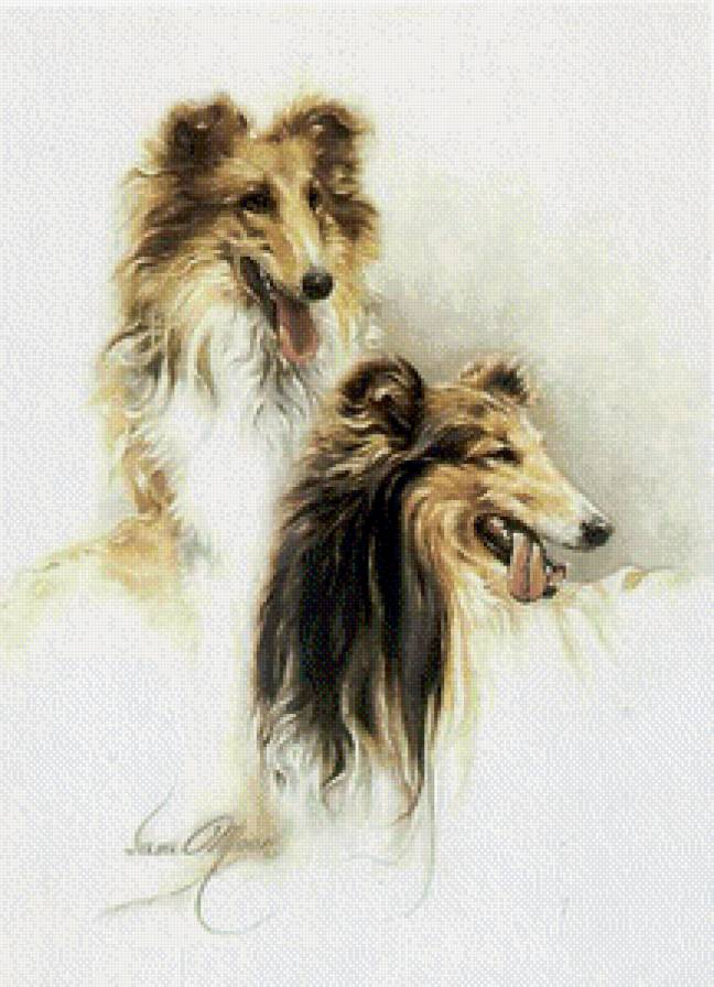 Собачки - собаки, живопись, животные - предпросмотр