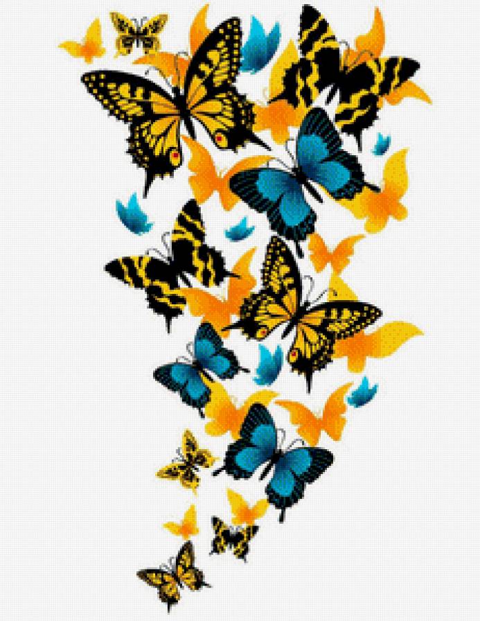 Бабочки - насекомые, бабочки - предпросмотр