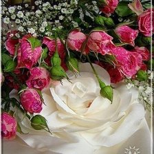 Схема вышивки «№487049»