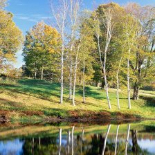 серия:краски осени