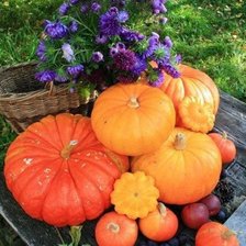 Схема вышивки «№487134»