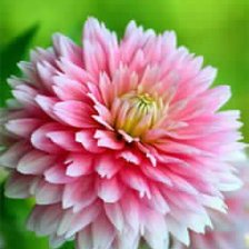 Схема вышивки «№487255»