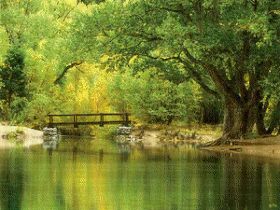 Лесная река - дерево, мост, лес, мостик, река - предпросмотр