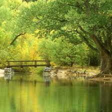 Схема вышивки «Лесная река»