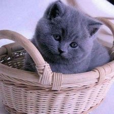 Схема вышивки «№487274»