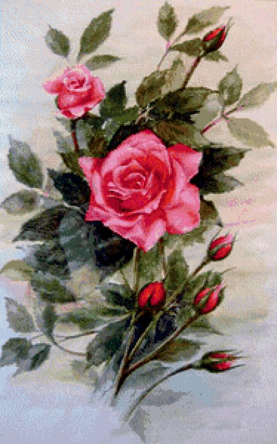 розы - цветы, роза, живопись, букет - предпросмотр