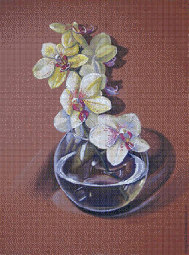 орхидея - цветы, ваза, орхидея - предпросмотр