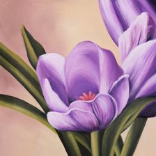 Схема вышивки «тюльпаны»