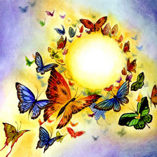 хоровод бабочек