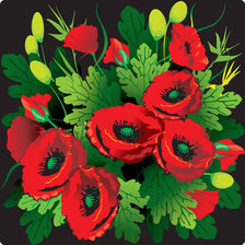 Схема вышивки «подушка"красный мак"»