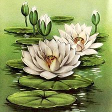 Схема вышивки «Водяная лилия»