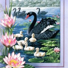 Схема вышивки «лебеди»