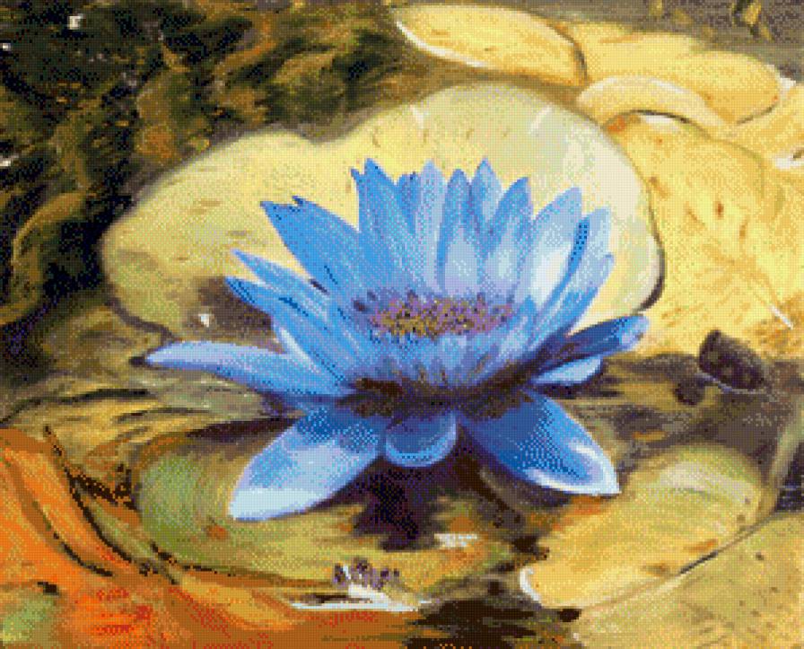 кувшинка - цветы.кувшинка - предпросмотр