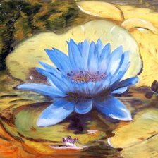 Схема вышивки «кувшинка»