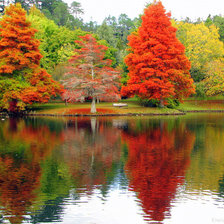 отдых на берегу