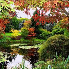 Схема вышивки «осень -осень»