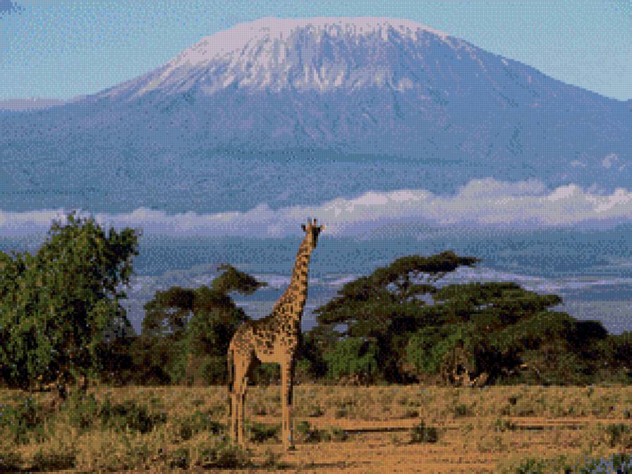 Одинокий жираф - гора, жираф, горы - предпросмотр