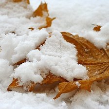 Схема вышивки «Листья в снегу.»