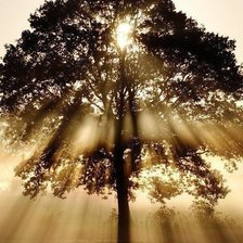 Схема вышивки «№487654»