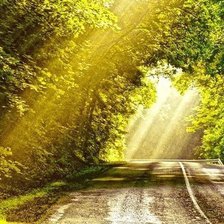 Схема вышивки «№487655»