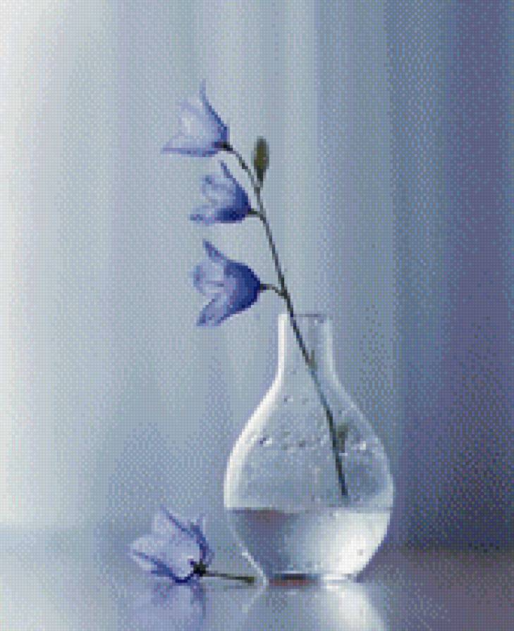 Колокольчик - цветок, колокольчик - предпросмотр