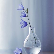 Схема вышивки «Колокольчик»