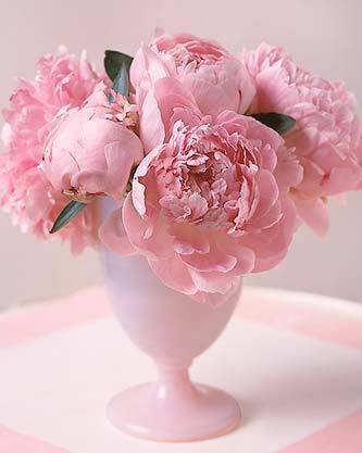 пионы - пионы, букет, цветы - оригинал