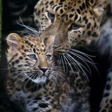 Схема вышивки «Мама и дитя»