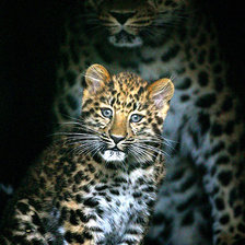 Схема вышивки «Мама и дитя*2»