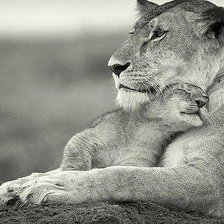 Схема вышивки «Ласка»