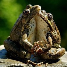 Схема вышивки «парочка»