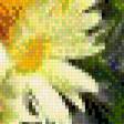 Предпросмотр схемы вышивки «натюрморт» (№488025)