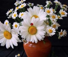 Схема вышивки «букет»