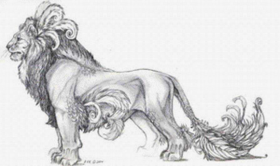 Лев - дикая природа - предпросмотр