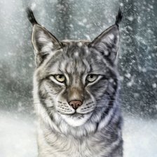 Схема вышивки «рысь»