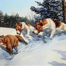 Схема вышивки «164»