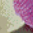 Предпросмотр схемы вышивки «нежность» (№488300)