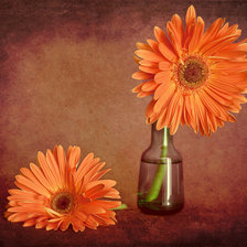 Схема вышивки «№488301»