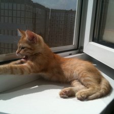 Схема вышивки «Котёнок»