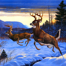 Схема вышивки «ОЛЕНИ»