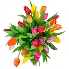 Схема вышивки «цветы»