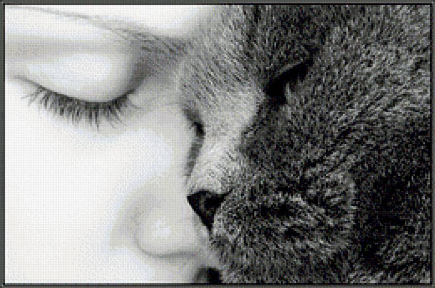 "Пушистая" нежность - кошки, девушки - предпросмотр