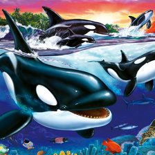 Схема вышивки «касатки»