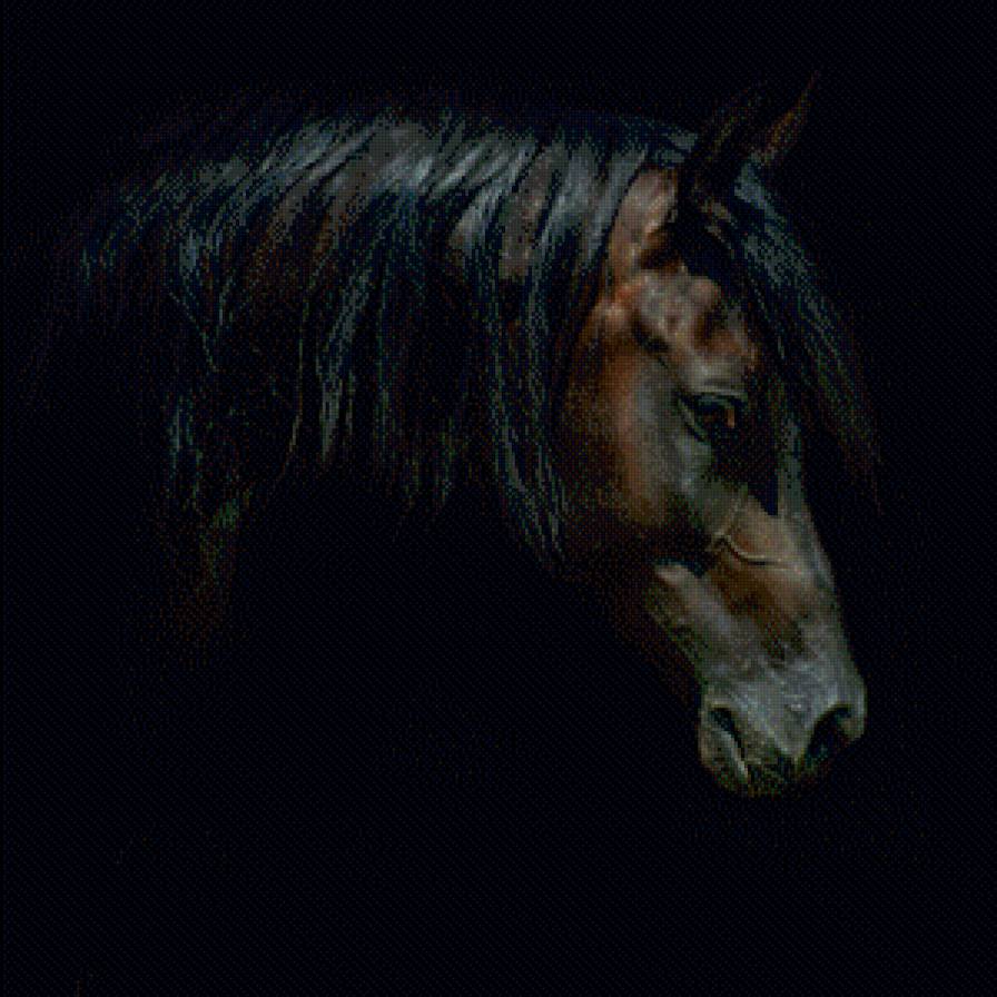 Лошадь - животные, лошади - предпросмотр