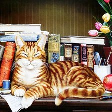 Схема вышивки «кот книголюб»