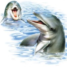 Схема вышивки «Дельфины»