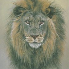 Схема вышивки «лев»